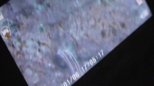 Чистка медных монет шаберами. Советы от камрада. Как правильно почистить монеты в домашних условиях