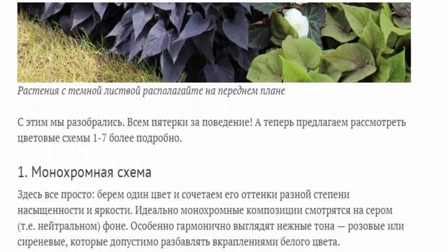 Как правильно сочетать цвета в миксбордере? смотреть онлайн