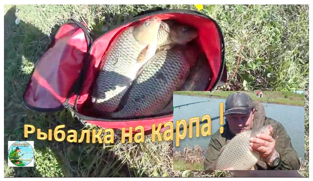 Этот пруд подарил СЧАСТЬЕ! Рыбалка на карпа в мае! смотреть онлайн