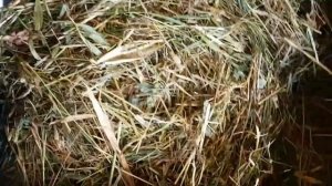 сенаж силос в упаковке,без дорогостоящей техники