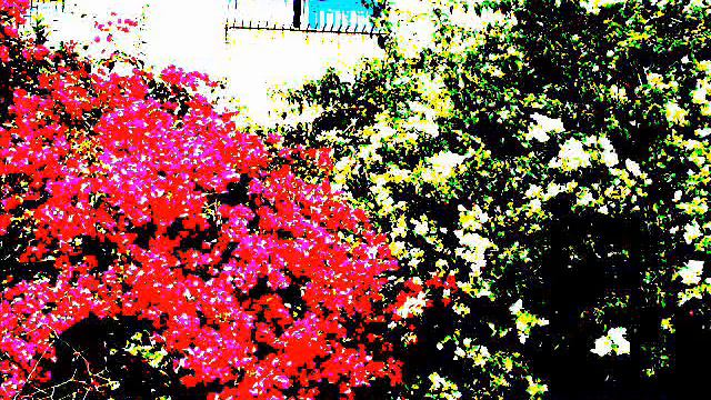 анахну яхад смотреть онлайн