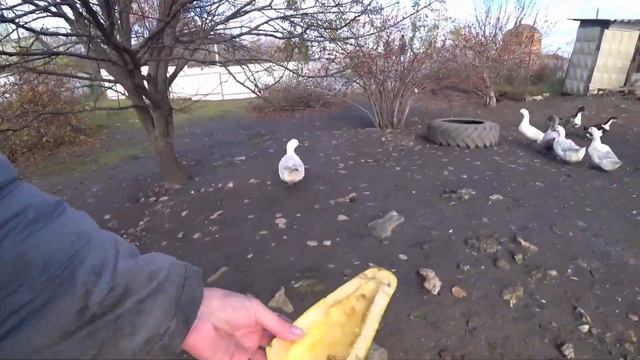 Получается так, как я хотела! смотреть онлайн