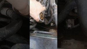 замена сальника на теплообменнике, масляный фильтр. шкода октавия тур 1.6 2002 года акл