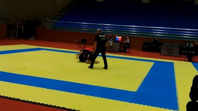 Чемпионат Украины по панкратиону 2016. Харьков смотреть онлайн