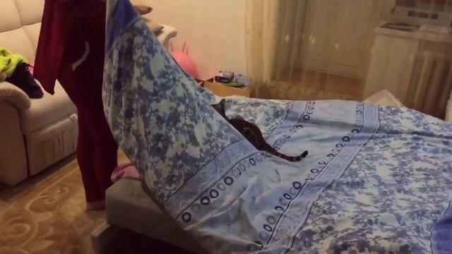 Тришка играет с детьми. смотреть онлайн