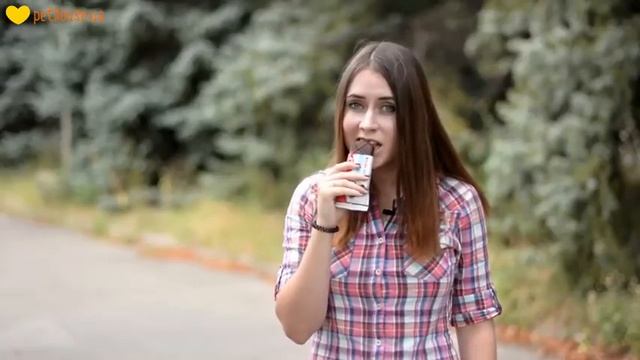 Чем нельзя кормить собак и кошек Такса48 смотреть онлайн