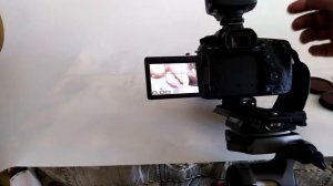 Макрофотография.Макрокольца для макрофотографии (практический обзор)