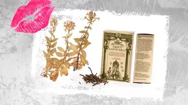 Saponaria - garden plants смотреть онлайн