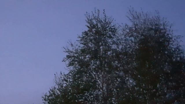 Переустановка скважинного насоса. Посадка груши. Дачные хлопоты смотреть онлайн