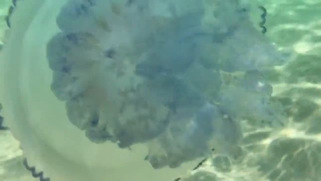 Аттракционы в Поповке и море в Мирном (3-я часть нашего путешествия в Крым) смотреть онлайн