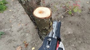 Аккумуляторная мини-пила         Wortex СЕС 2518.