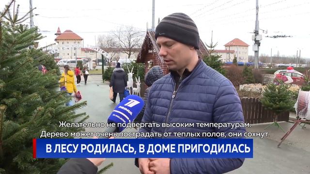 В лесу родилась, в доме пригодилась смотреть онлайн