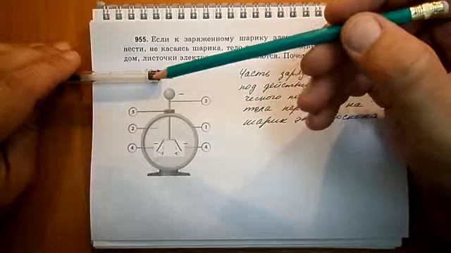 Пёрышкин. Задача 955 смотреть онлайн