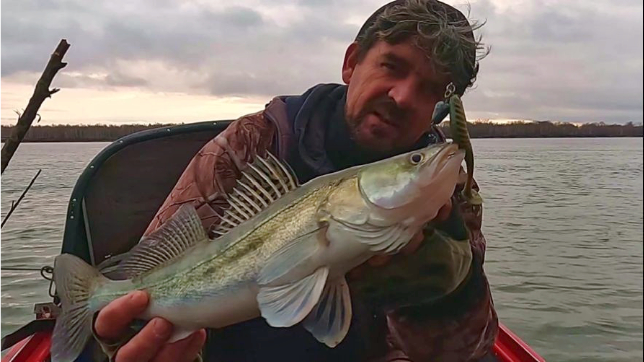 КОМБИНИРОВАННАЯ РЫБАЛКА на Оби 15 октября 2023г. Фидер, спиннинг. смотреть онлайн