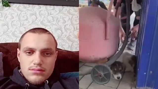 Хозяины бросилы щенка на улице☹️ смотреть онлайн