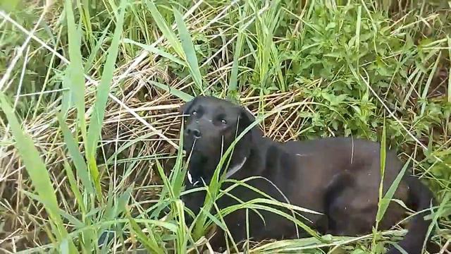 кино про рыбалку в Черняховском ООиР смотреть онлайн
