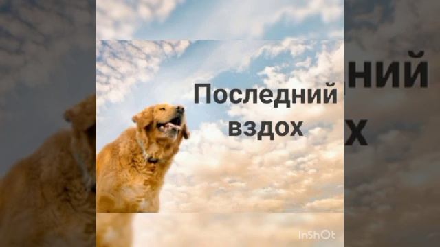 Последний вздох..... смотреть онлайн