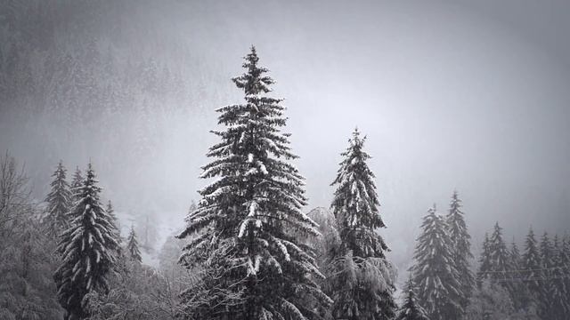 25 декабря–Спиридон Солнцеворот. Что нельзя делать? Приметы и поверья. смотреть онлайн