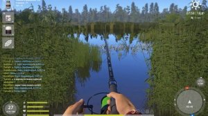 Русская рыбалка 4 оз.Медвежье - Карп зеркальный