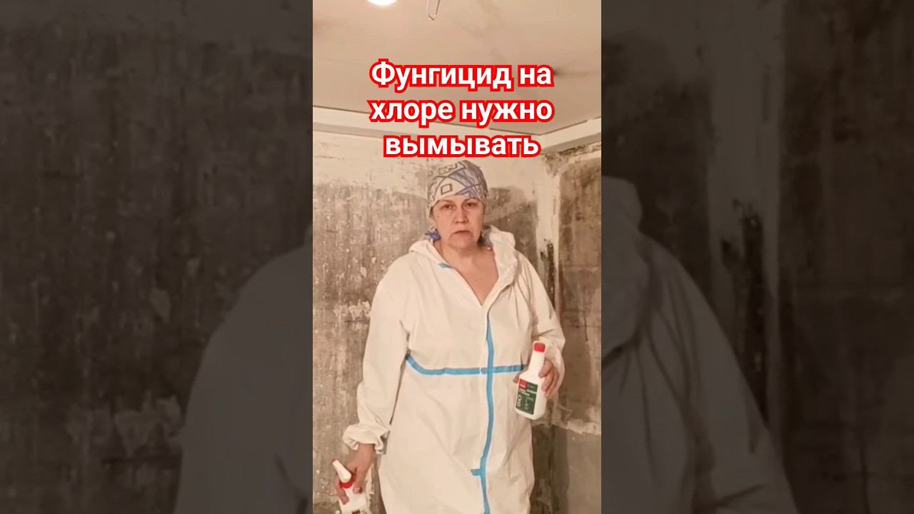 Фунгицид против плесени #плесень #фунгицид #протечка смотреть онлайн