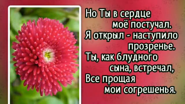 Я любви недостоин Твоей (+) смотреть онлайн