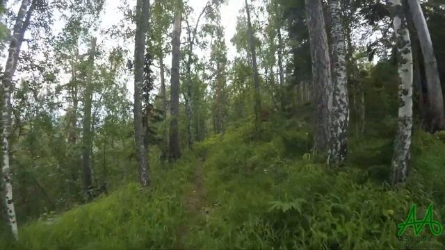 Прогулка по видовке на правом берегу Енисея над Красноярской ГЭС смотреть онлайн