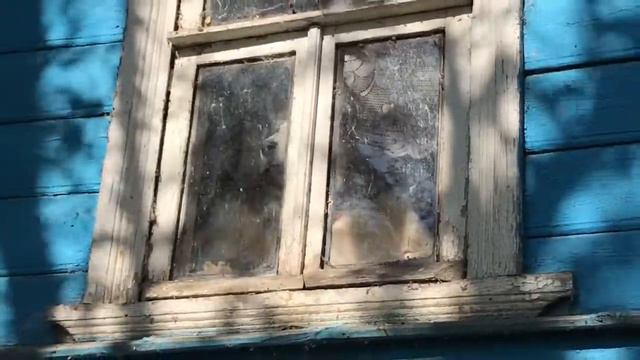 Чинук собирается домой смотреть онлайн