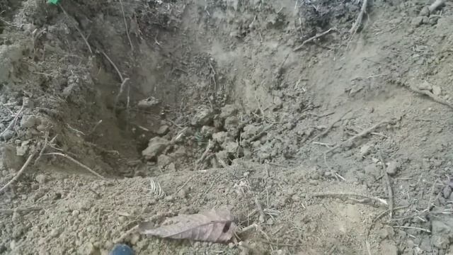 Ищим старый АВСТРИЙСКИЙ дом. Раскопки дома. Коп в лесу. Коп в Карпатах. Что можно найти в Карпатах. смотреть онлайн
