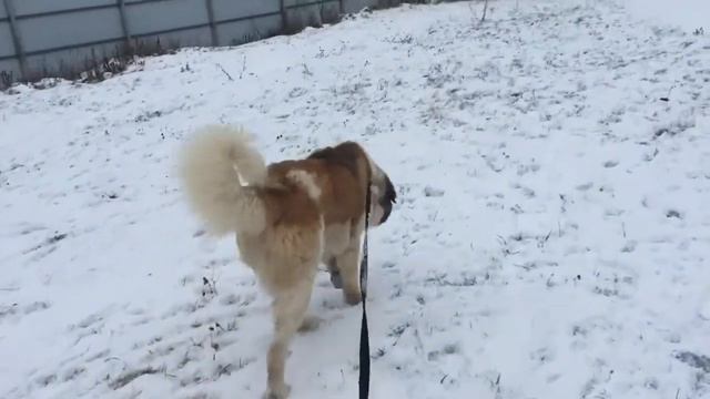 Бумер смотреть онлайн