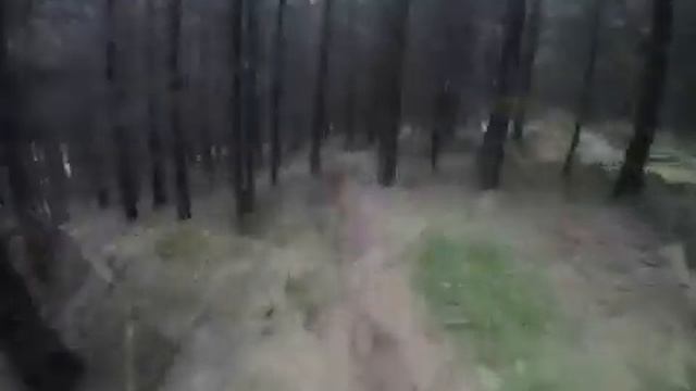 Small section of Ravensdale смотреть онлайн