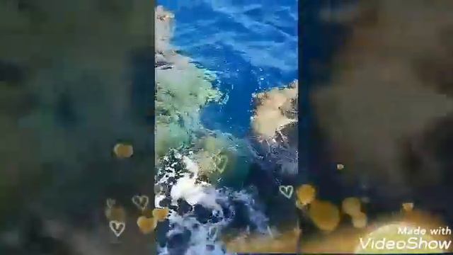 Tui magic life - Egyptian hotel смотреть онлайн
