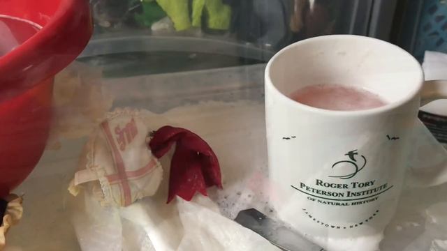 Cleaning cigarette staining+odor from my dolls! (How to/tips) смотреть онлайн