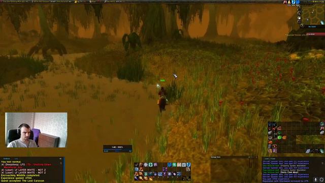 Завоевываем Евро Сервер - Стрим - World of Warcraft TBCC смотреть онлайн