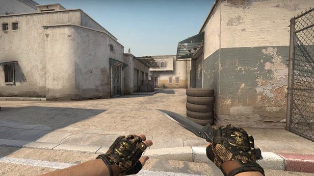 CS:GO BLOODHOUND GLOVES SNAKEBITE FIELD-TESTED | SKIN SHOWCASE смотреть онлайн