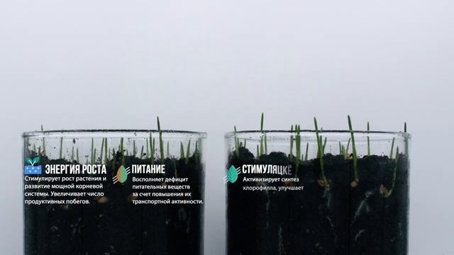 Что такое Лигногумат ВМ-NPK и как он работает?