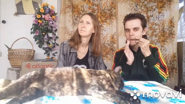 Каян & Злата - Карантин или урок игры на варгане смотреть онлайн