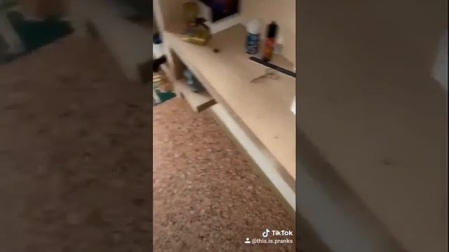 ПРАНК НАД ДРУГОМ | С ДОБРЫМ УТРОМ БРАТАН | ЖЕСТОКИЙ ПРАНК НАД ДРУГОМ | КАК РАЗБУДИТЬ ДРУГА смотреть онлайн