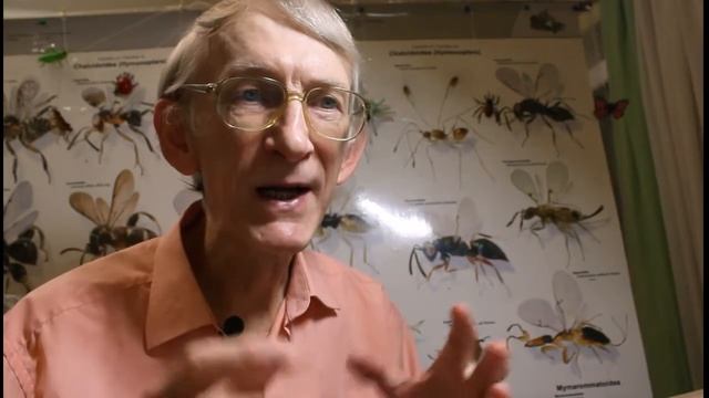 Полезные Насекомые. Экологическое Равновесие в Природе. Биологический Метод Защиты Растений. смотреть онлайн