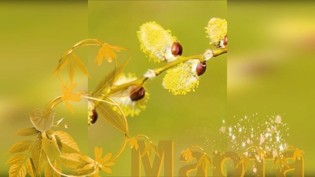 ПОЗДРАВЛЕНИЕ с 8 марта/ Видео-открытка/ Поздравляю с 8 Марта/Это для ТЕБЯ! смотреть онлайн