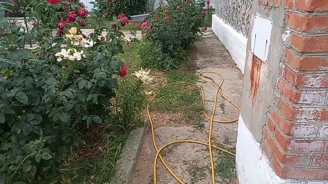 кто про что а я люблю свой сказочный дом смотреть онлайн