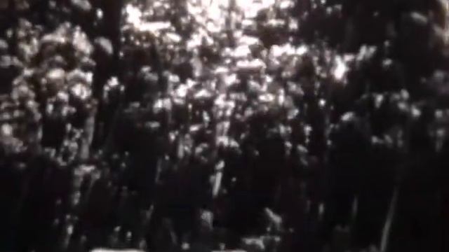 Гео, Африка, Экваториальные леса Африки смотреть онлайн