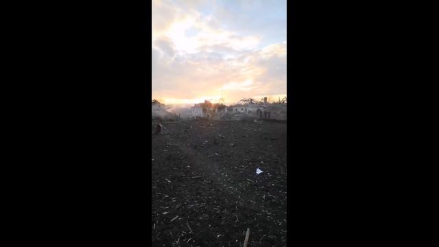 Смела. 29 декабря 2023 года. смотреть онлайн