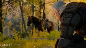 Ведьмак 3 - самый ЧЕСТНЫЙ обзор этого "Шедевра"