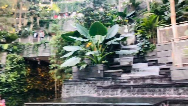 Canopy Park - Jewel Changi | Changi Airport - Singapore