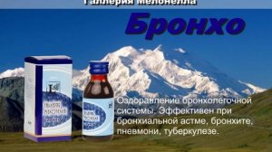 Восковая Моль Галлерия Мелонелла