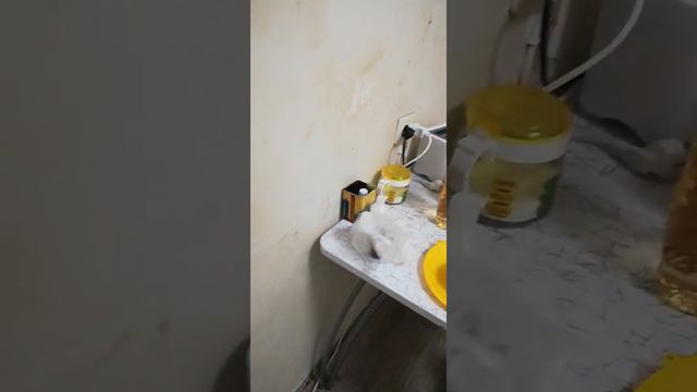 Волгоградская обл Волжский смотреть онлайн