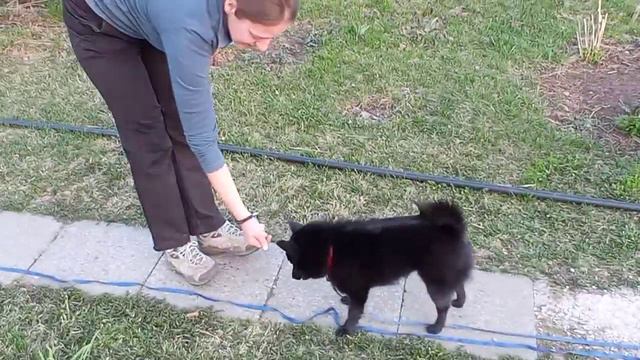 Урок 1. Прямое наведение. смотреть онлайн