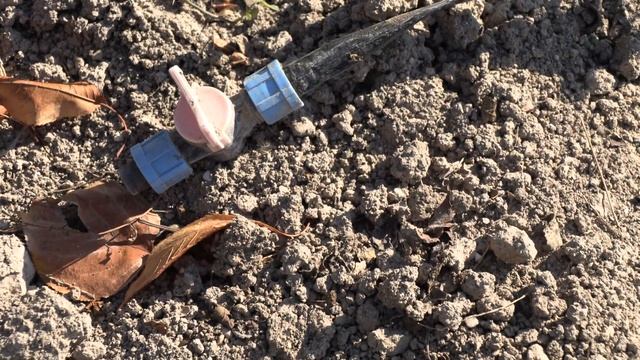 чистим капельную ленту, роза клер роуз, питомник роз полины козловой, rozarium.biz смотреть онлайн