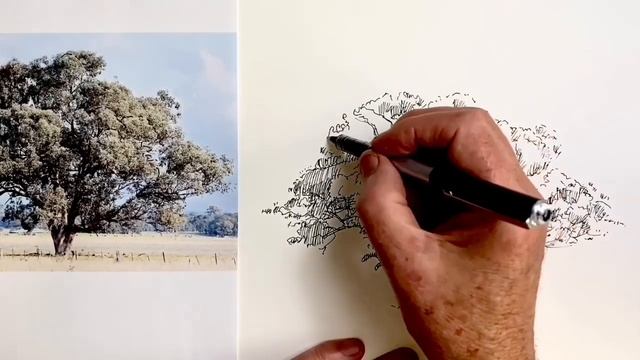 How to Draw a Large Tree смотреть онлайн