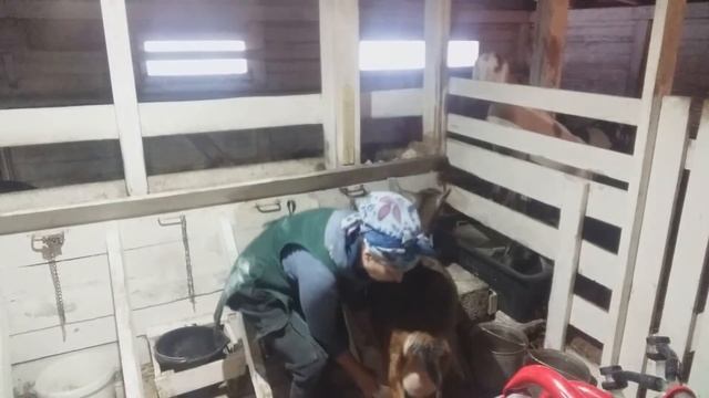 Почему продаю и раздаю альпиек смотреть онлайн